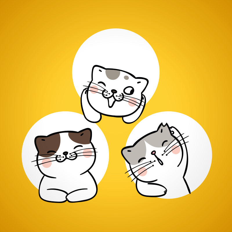 maspujols colonies felines