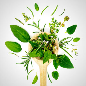 mediterraneamente